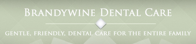 Brandywine Dental Store